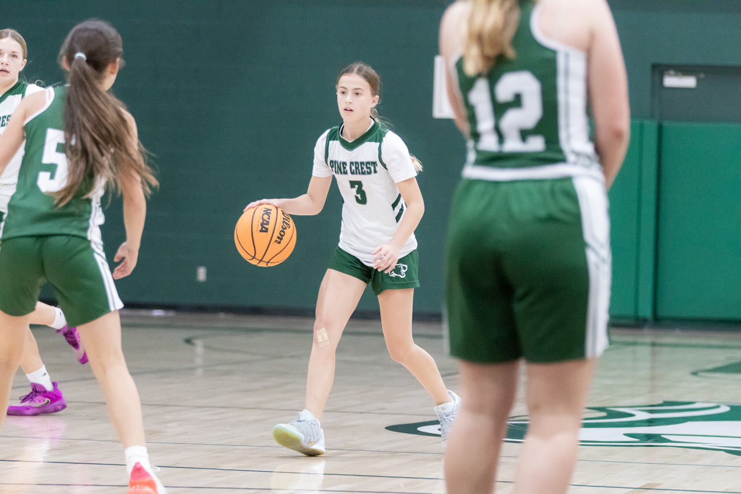 Middle School girls basketball Winter I