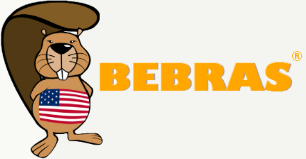 Pine Crest Upper School Coders Earn Top Honors at Bebras Computing Challenge