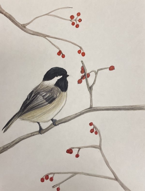 Pine Crest Middle School Art on Display at the Norton Museum of Art